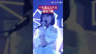 かわいすぎませんか？ #原菜乃華 #b小町