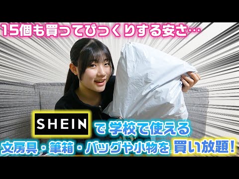 妹2人にプレゼントも！SHEINで学校で使える小物を15個買い放題してきたので、購入品紹介していきます！